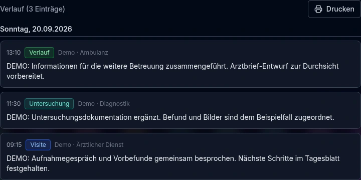 DOLEKAS-Verlaufsblatt mit drei zeitlich geordneten Einträgen verschiedener Demo-Mitarbeitender.